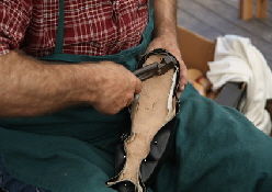 Kopie (2) von Fotolia_7835748_XS